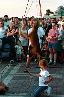 A street performer dog taking a 5 dollar bill out of Chris's mouth.