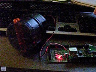 Automatic Fish Feeder and Rabbitcore 3700 video