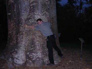 Me hugging a tree at the  Chihuly - Fairchild Tropical Botanic Garden