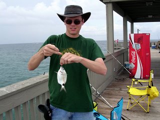 Little Fish