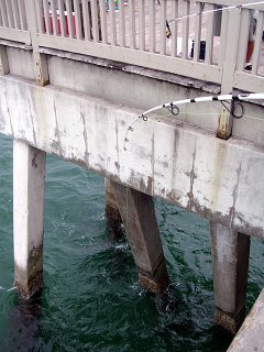 Fishing line snagged in the peir