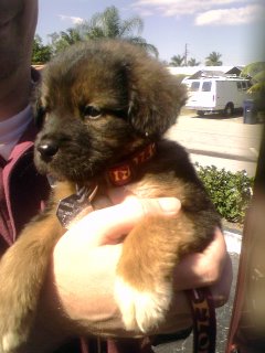 Chris and his new puppy